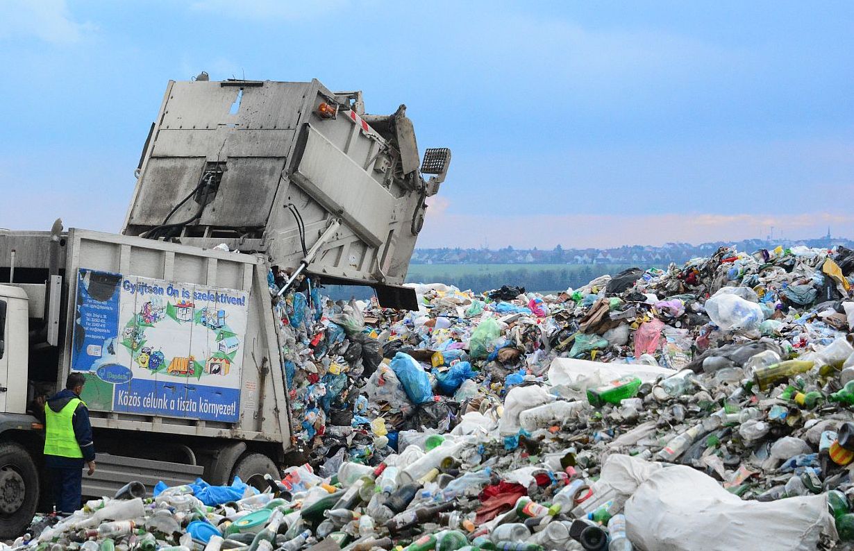 Nyílt napra várja az óvodás és iskolás csoportokat a Depónia